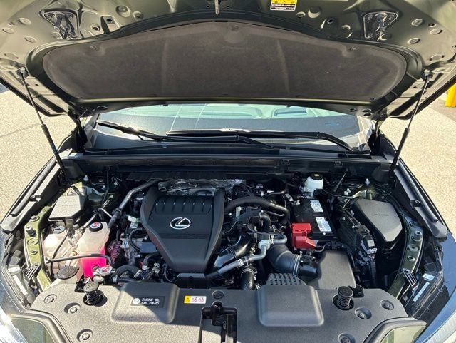 2024 Lexus NX NX 350 Luxury
