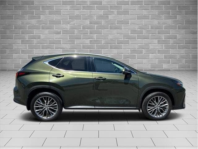 2024 Lexus NX NX 350 Luxury