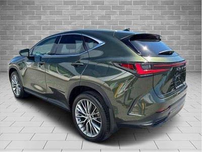 2024 Lexus NX NX 350 Luxury