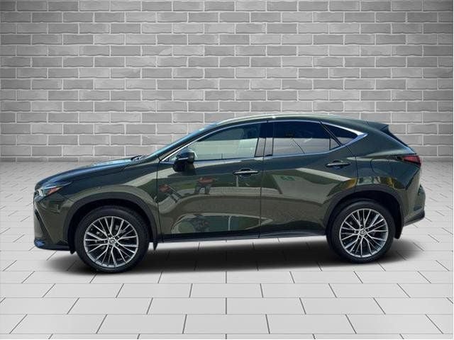 2024 Lexus NX NX 350 Luxury