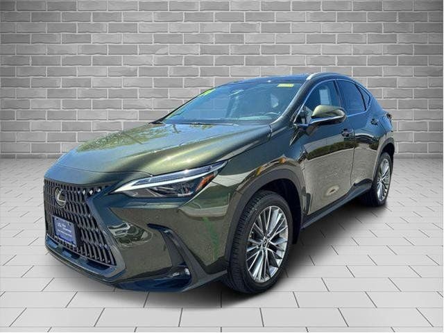 2024 Lexus NX NX 350 Luxury