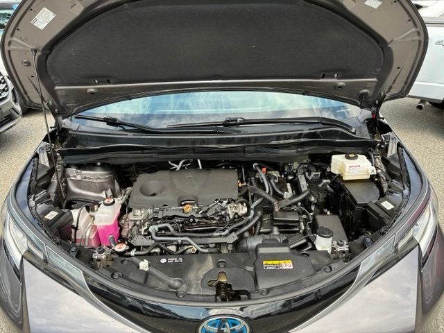 2023 Toyota Sienna Limited 7 Passenger