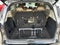 2023 Toyota Sienna Limited 7 Passenger