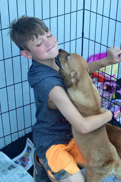 Alt text for slide 1