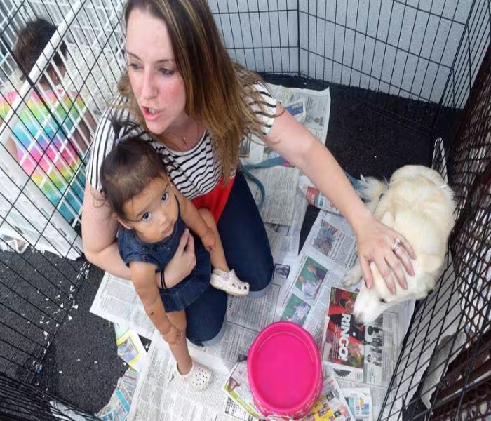 Alt text for slide 5